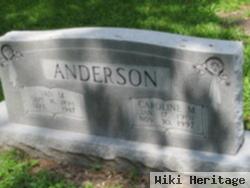 Caroline M Anderson