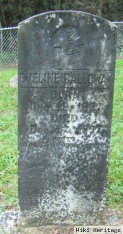 Eveline Calloway