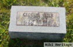 Cedelia "delia" Ater Morgan