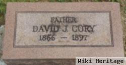 David J Cory