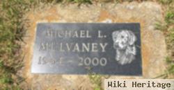 Michael Lee Mulvaney