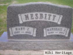 Marshall J Nesbitt