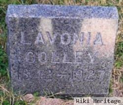 Lavonia Colley