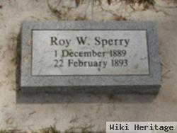 Roy W Sperry