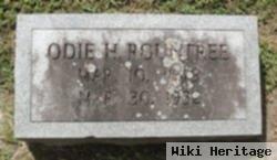 Odie H. Rountree