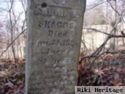 Sarah Ann Smith Skaggs