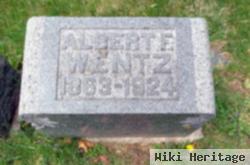 Albert Fillmore Wentz