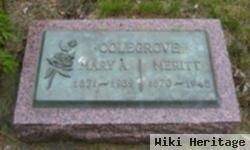 Mary Elizabeth Anne Michels Colegrove