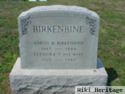 Aaron M Birkenbine