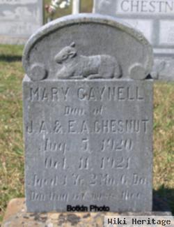 Mary Gaynell Chestnut
