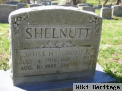 James Hamilton Shelnutt