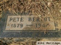 Peter Bertot