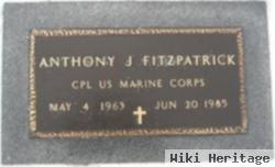 Anthony J Fitzpatrick