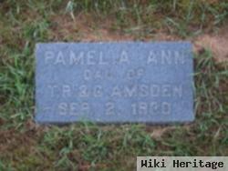 Pamelia Ann Amsden