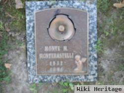 Monte M Monterastelli