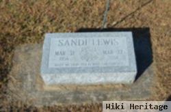 Sandra S. Lewis