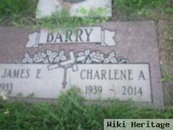 Charlene Pitz Barry