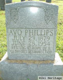 Avo Phillips