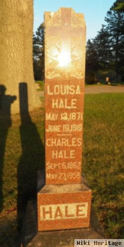 Charles Nelson Hale