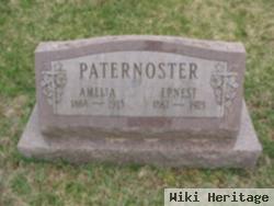 Ernest Paternoster