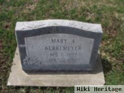 Mary Anna Snyder Kerkemeyer