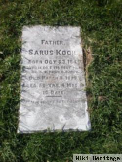 Sarus Koch