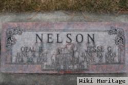 Jesse Giles Nelson