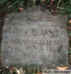 Roy C Arns