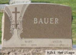 Anton Bauer