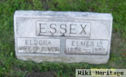 Elmer L. Essex