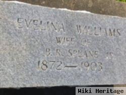 Evelina F. Williams Splane