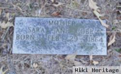 Sara Jane Holeman Cobb