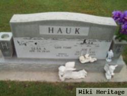 Joe F. Hauk