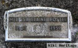 Melissa Elaine Foster