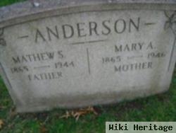 Mathew S. Anderson