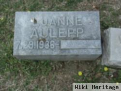 Luanne Aulepp