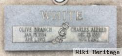 Olive Branch White