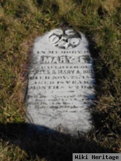 Mary Elizabeth Hulick