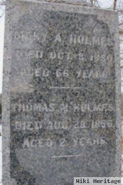 Thomas M. Holmes