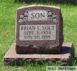 Brian L Solt