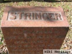 Alexander A Stringer