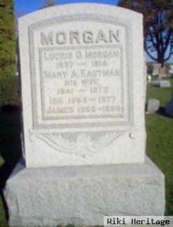 Lucius D. Morgan