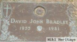 David John Bradley