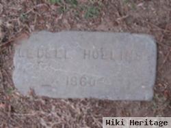 Ledell Hollins