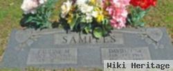 David J Samples, Sr