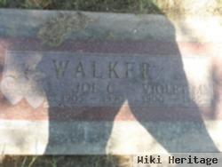 Joe C Walker