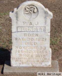 P. A. J. Burnett