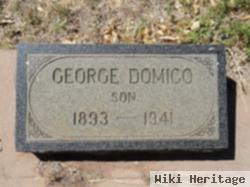 George Domico