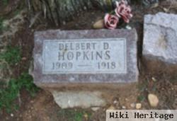 Delbert D. Hopkins