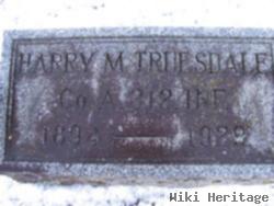 Harry Mosher Truesdale